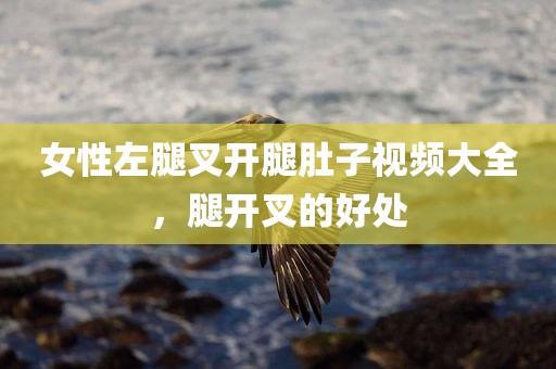 女性左腿叉开腿肚子视频大全，腿开叉的好处