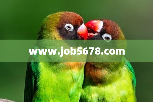 www.job5678.com