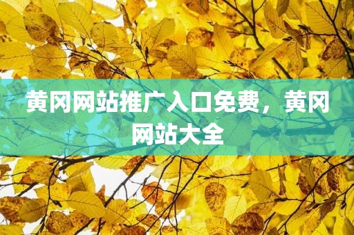 黄冈网站推广入口免费，黄冈网站大全