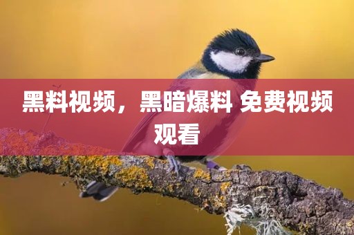 黑料视频，黑暗爆料 免费视频观看