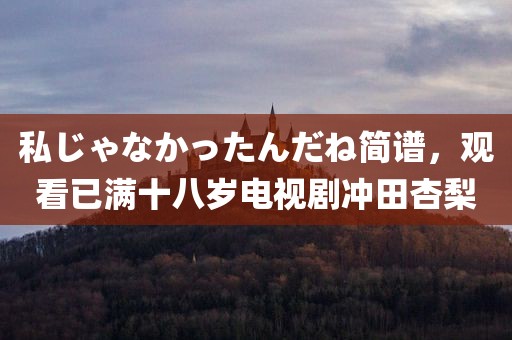 私じゃなかったんだね简谱，观看已满十八岁电视剧冲田杏梨