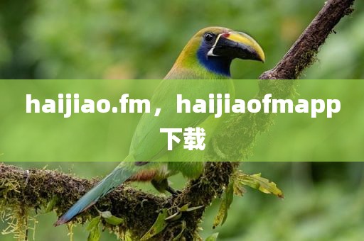 haijiao.fm，haijiaofmapp下载
