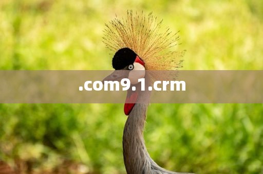 .com9.1.crm