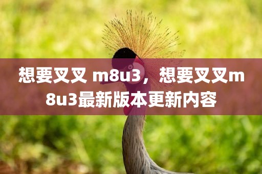 想要叉叉 m8u3，想要叉叉m8u3最新版本更新内容
