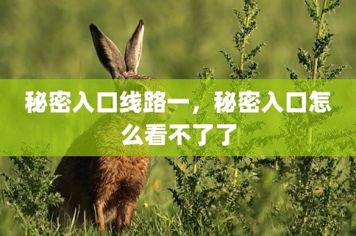 秘密入口线路一，秘密入口怎么看不了了