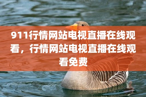 911行情网站电视直播在线观看，行情网站电视直播在线观看免费