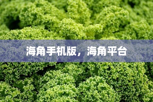 海角手机版，海角平台