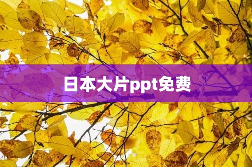 日本大片ppt免费