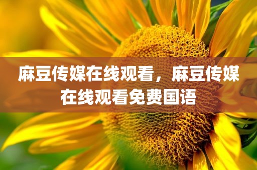 麻豆传媒在线观看，麻豆传媒在线观看免费国语