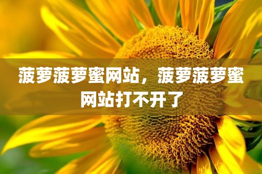 菠萝菠萝蜜网站，菠萝菠萝蜜网站打不开了