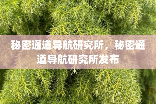 秘密通道导航研究所，秘密通道导航研究所发布