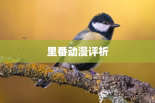 里番动漫评析