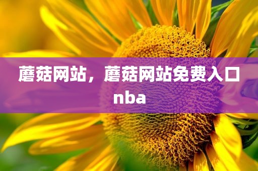 蘑菇网站，蘑菇网站免费入口nba
