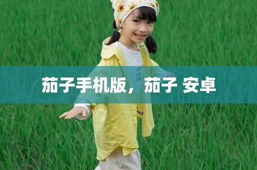 茄子手机版，茄子 安卓