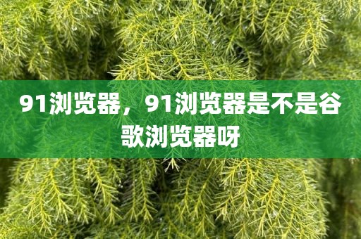 91浏览器，91浏览器是不是谷歌浏览器呀