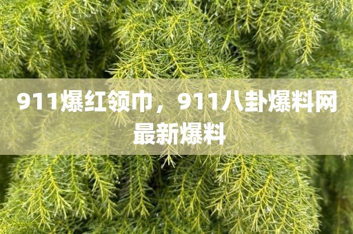 911爆红领巾，911八卦爆料网 最新爆料