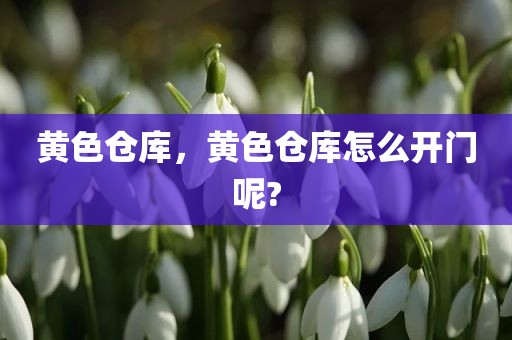 黄色仓库，黄色仓库怎么开门呢?