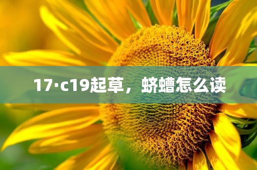 17·c19起草，蛴螬怎么读