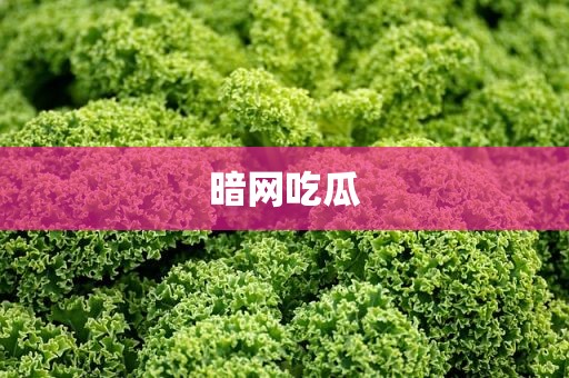 暗网吃瓜
