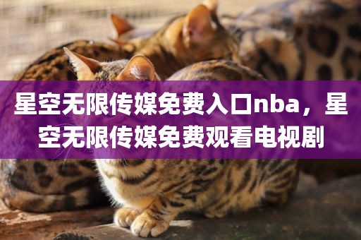 星空无限传媒免费入口nba，星空无限传媒免费观看电视剧