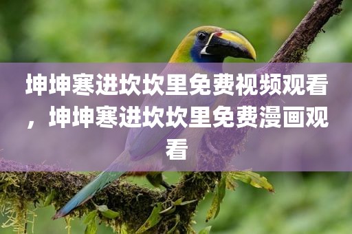 坤坤寒进坎坎里免费视频观看，坤坤寒进坎坎里免费漫画观看