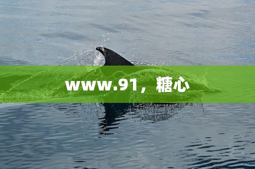 www.91，糖心
