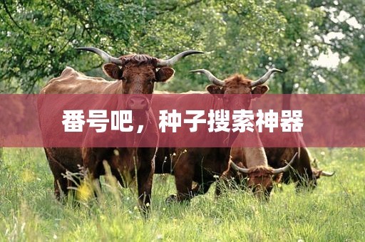 番号吧，种子搜索神器