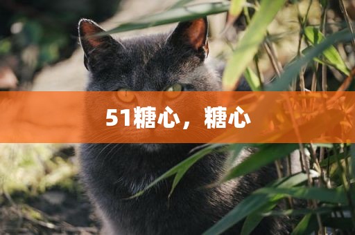 51糖心，糖心
