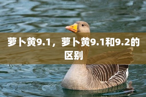 萝卜黄9.1，萝卜黄9.1和9.2的区别