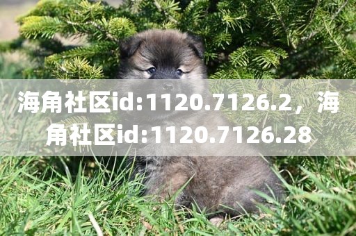 海角社区id:1120.7126.2，海角社区id:1120.7126.28