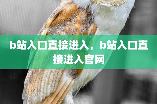 b站入口直接进入，b站入口直接进入官网