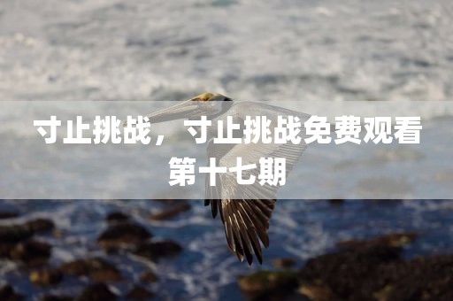 寸止挑战，寸止挑战免费观看第十七期