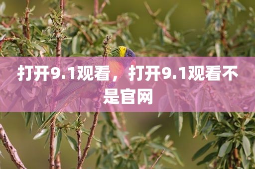打开9.1观看，打开9.1观看不是官网
