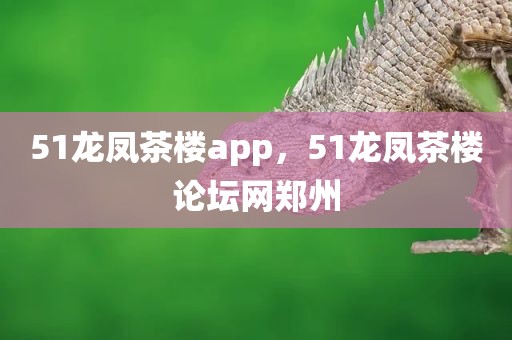 51龙凤茶楼app，51龙凤茶楼论坛网郑州