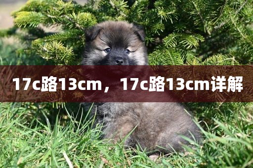 17c路13cm，17c路13cm详解