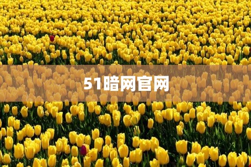 51暗网官网