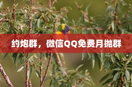 约炮群，微信QQ免费月抛群