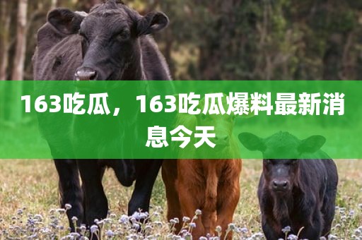 163吃瓜，163吃瓜爆料最新消息今天