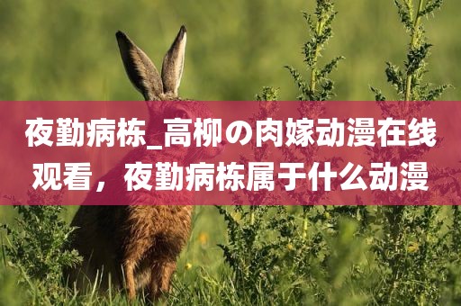 夜勤病栋_高柳の肉嫁动漫在线观看，夜勤病栋属于什么动漫