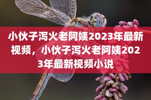 小伙子泻火老阿姨2023年最新视频，小伙子泻火老阿姨2023年最新视频小说