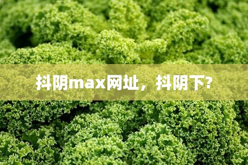 抖阴max网址，抖阴下?