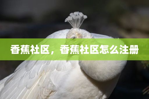 香蕉社区，香蕉社区怎么注册