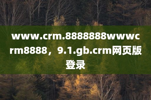 www.crm.8888888wwwcrm8888，9.1.gb.crm网页版登录