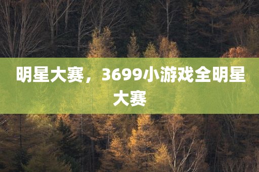 明星大赛，3699小游戏全明星大赛