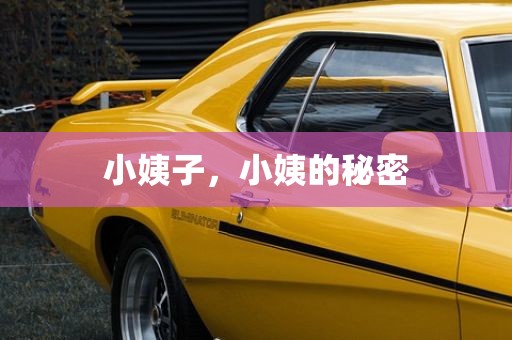 小姨子，小姨的秘密