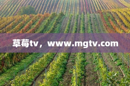 草莓tv，www.mgtv.com