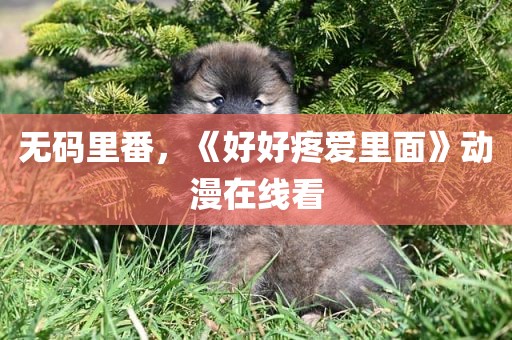 无码里番，《好好疼爱里面》动漫在线看