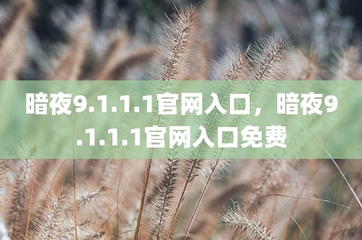 暗夜9.1.1.1官网入口，暗夜9.1.1.1官网入口免费