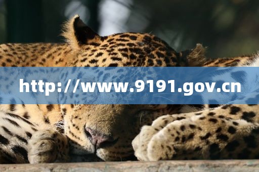 http://www.9191.gov.cn