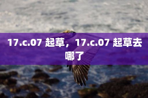 17.c.07 起草，17.c.07 起草去哪了